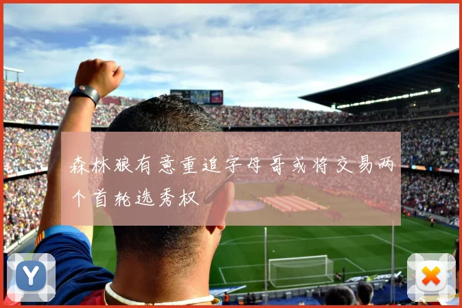 森林狼有意重追字母哥或将交易两个首轮选秀权