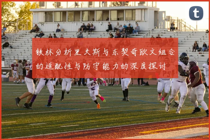 铁林分析里夫斯与东契奇欧文组合的适配性与防守能力的深度探讨