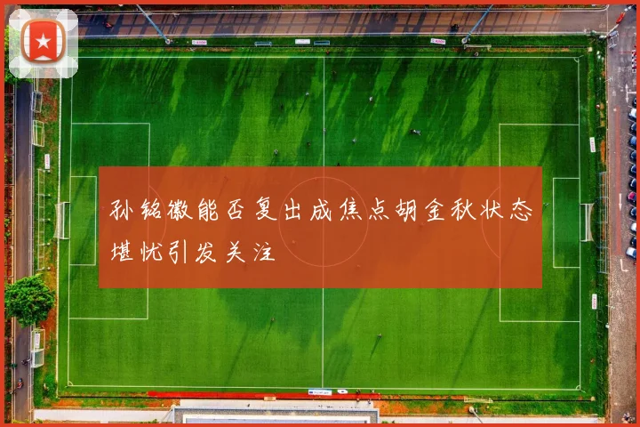 孙铭徽能否复出成焦点胡金秋状态堪忧引发关注