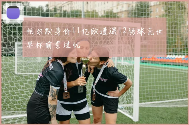 帕尔默身价11亿欧遭遇12场球荒世界杯前景堪忧